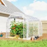 Serre de jardin 6m², structure 195x295x195cm en acier galvanisé, bâche PE transparente 150g/m²