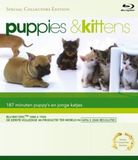 Lichtung Puppies & Kittens DVD