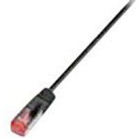 Wirewin - Verbindingskabel - RJ-45 (M) naar RJ-45 (M) - 1 m - STP - CAT 6 - afgeschermd - zwart