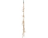 Erutan avon Liana bush Tarzan orange 110 cm kunstbloem