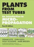 Plants Bol Plants From Test Tubes