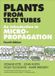 Plants Bol Plants From Test Tubes