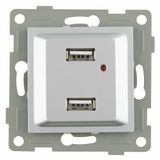 Titanium inbouwapparaat Dual USB voor het opladen van mobiele telefoons en andere elektronische apparaten