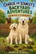Charlie and Stanley's Backyard Adventures: The Mystery of the Moving Dirt