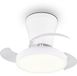 RL LIVE YOUR LIGHT Reality moss - Ventilateur - Blanc - 41 cm - Incl. 1x SMD 13 W - Télécommande - Gradateur intégré - Couleur de lumière réglable en continu - Fonction mémoire - Mode été et hiver - 6 niveaux de vitesse