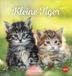 Katzen Heye Katzen Postkartenkalender Kleine Tiger 2027