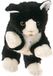 Living Puppets handpop zwart/wit kat