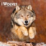 Wolves BrownTrout Wolves 2027 12 X 24 Inch (Hanging) Monthly Square Wall Calendar Plastic-Free