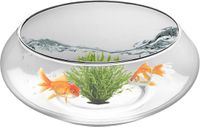 Merkloos Glazen Schaal - Bloempot Vissenkom - Planten Display - Ondiep Breed - 25x10 cm - Helder