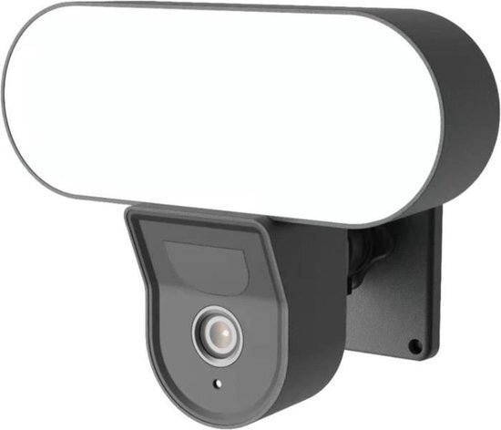 Daewoo Security Feste Full HD buitencamera met vast licht EF505L, bewegingsmelder, buitenverlichting, afstandsbediening op smartphone