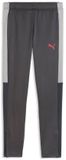 Puma Kindertrainingsbroek IndividualLIGA Training Pants JR 660573