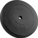 Rebel Active - Bitumineuze Gewichtschijf - 20kg - 31mm Diameter