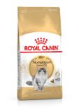 Royal Canin Norwegian Forest Cat Adult - Kattenvoer - 400 g