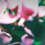 Suburban Trade Wind - You Make Everything Dis