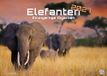 Elefanten - einzigartige Giganten - 2027 - Kalender DIN A3