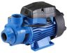 Pompe électrique, auto-amorçante, 370 watts, 30 litres par minute, fonte