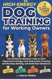 High-Energy Dog Training for Working Owners