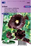 Sluis Garden Stokroos Jet Black (Alcea rosea)
