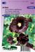 Sluis Garden Stokroos Jet Black (Alcea rosea)