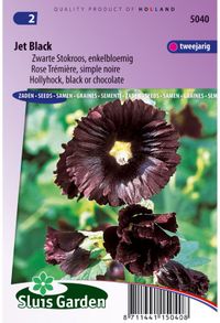 Sluis Garden Stokroos Jet Black (Alcea rosea)