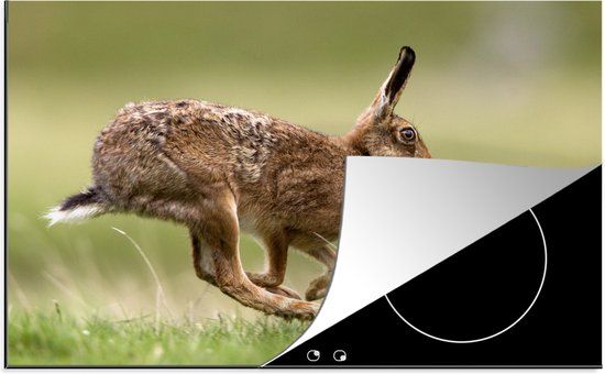 KitchenYeah® Inductie beschermer 77x51 cm - Haas - Rennen - Gras - Knaagdieren - Inductie kookplaat accessoire