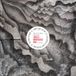 This Hypnotic Brass Ensemble - This Is A Mindfulness Drill (LP) (Coloured Vinyl)