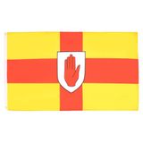 AZ FLAG Vlag Ulster 90x60 cm Polyester 100D