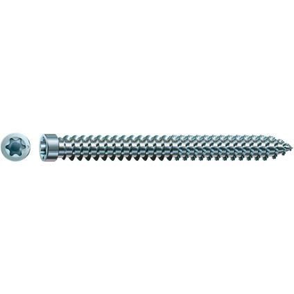 Spax Cilinderkop Schroeven - T-STAR plus - Blauw - 100 stuks