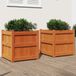 Maison Exclusive - Jardinières, 2 pièces, brun lavé, pin massif