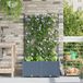 Maison Exclusive - 2 jardinières d'extérieur, gris clair, 80 x 40 x 143 cm, en plastique PP