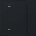 Gira Intelligent Controle Element - 5365005 - E26W2 - Zwart