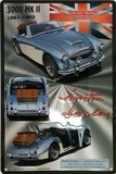 19653RB AUSTIN HEALEY 19653RB 3000 MKII 1961-1963 Decoratief metalen bord retro vintage 20 x 30 cm