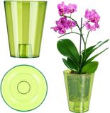 KADAX Bloempot, slanke orchideeënpot, eenvoudige plantenbak, bloempot voor orchidee, Moeras Madeliefjes, plantenbak voor keuken en woonkamer (diameter 12 cm, rond, groen)