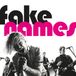 Fake Names - Fake Names (LP)