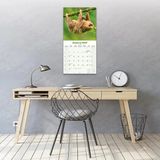 Avonside Luiaard Kalender 2027