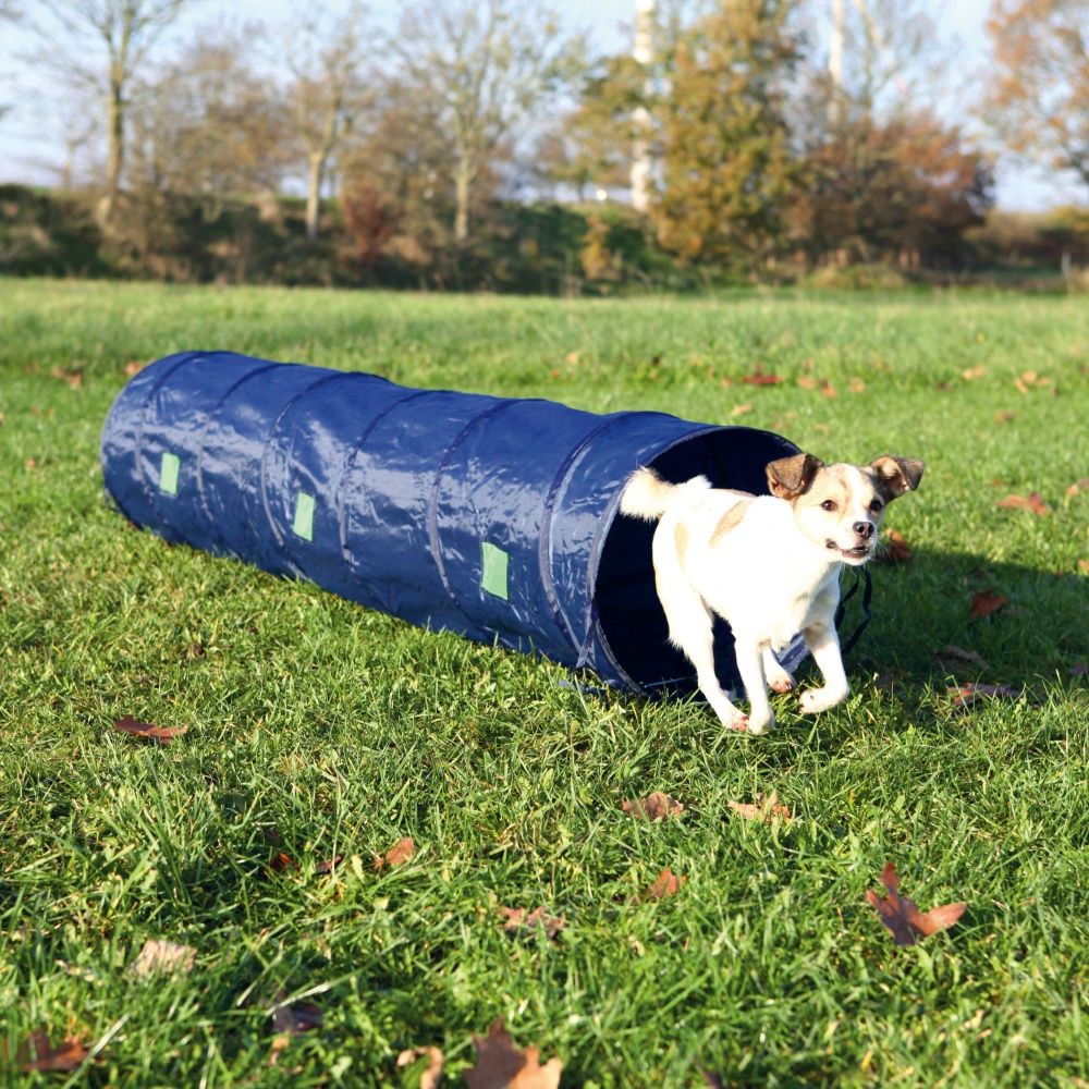TRIXIE Dog Activity Agility Tunnel - blauw - 40 cm x 2 mtr
