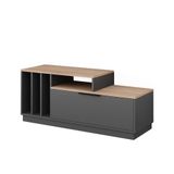 Vicco Betti Lowboard – 120 x 49.9 cm met 1 deur Antraciet/Sonoma