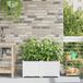 Maison Exclusive - Lot de 2 pots de jardin, blanc, 80 x 40 x 37,5 cm, en polypropylène (PP)