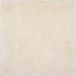 Safavieh Vloerkleed Chatham Ivoorkleurig Polyester Vierkant 150x150cm