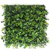 Easy Lawn Wandplant l1b1m hydranchea mix3 m2