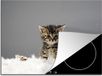 Merkloos KitchenYeah® Inductie beschermer 75x52 cm - Kitten - Veren - Grijs - Inductiebeschermer voor kookplaat