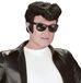 Bristol Novelty Ltd Bristol Novelty Mens Greaser Wig (Black)
