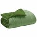 vidaXL Winterdekbed 200 x 220 cm Microvezel Groen
