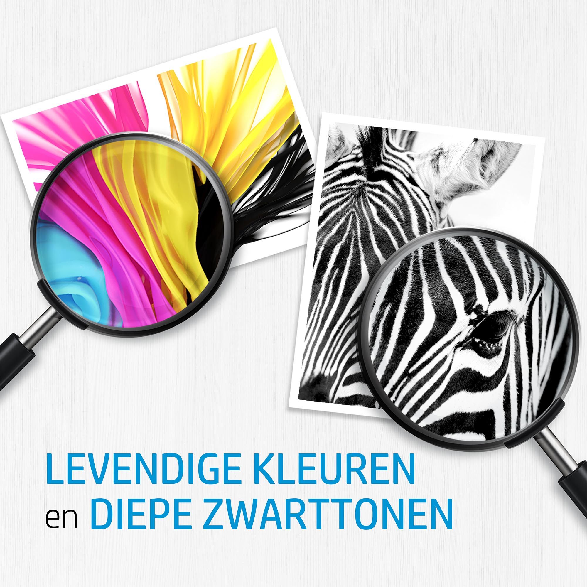 HP 364XL Zwarte inktcartridge - Origineel - 550 pagina's