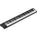 iCON Pro Audio Artist 88 clavier USB/MIDI