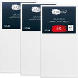 Artina Set van 3 Canvas Schildersdoek FSC® 30x60 cm met Spieraam van 100% Katoen Akademie