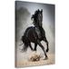 FEEBY Toile Imprimée Cheval Noir Au Galop Nature 40x60