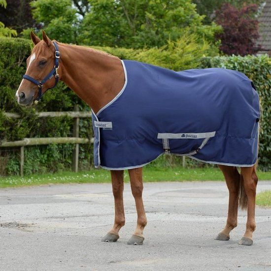 Bucas Freedom Twill Sheet 140 - Navy