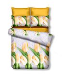 DecoKing Cleo Emerald Dekbedovertrekset, 155 x 220 cm, met 1 kussensloop, 80 x 80 cm, microvezel, ritssluiting, wit, crème