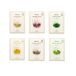JMsolution Plansynergy Masque Lot - 6 Types Hydra